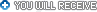 You will receive