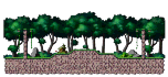 Ancient Area