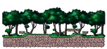 Bat Habitat