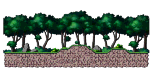 Canine Habitat