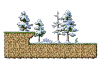 File:Map Field of Wolves.png