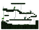 Forest Entrance