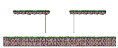 Forest of Laments 4