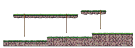 Forest of Pain 3