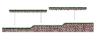 Forest of Sorrows 1