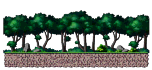 Hog Area