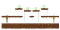Link 1