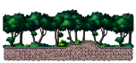 Monkey Habitat