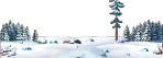 Open Snowfield