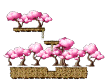 天桃の果樹園 (Peach Farm)