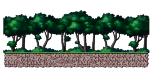 Root Habitat