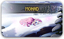 Monad Maple Guide icon