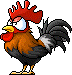 Cuckoo Chicken