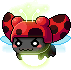 Lady Bug