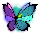 Nightmare Butterfly