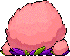 Pom Puff Bush
