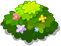 Blooming Shrub