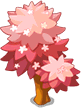 Maple Tree