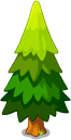 Pine Tree