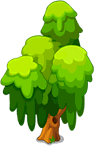 Willow Tree