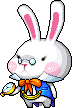 Bunny Merchant